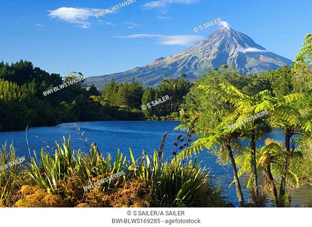 Mount Egmont, lake, tree ferns and perfectly cone-shaped volcanoe Mt Egmont, also called Mt Taranaki, New Zealand, Southern Island, Taranaki