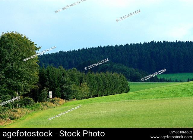 Landschaft mit Jagdhochsitz, landscape with huntigseat