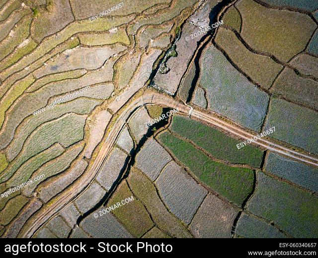 Aerial view of a dirt road accross paddy fields in Nepal. Winter season