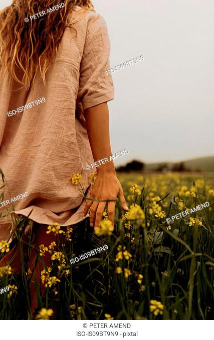 Young woman walking in yellow wildflower field, rear view, Jalama, California, USA