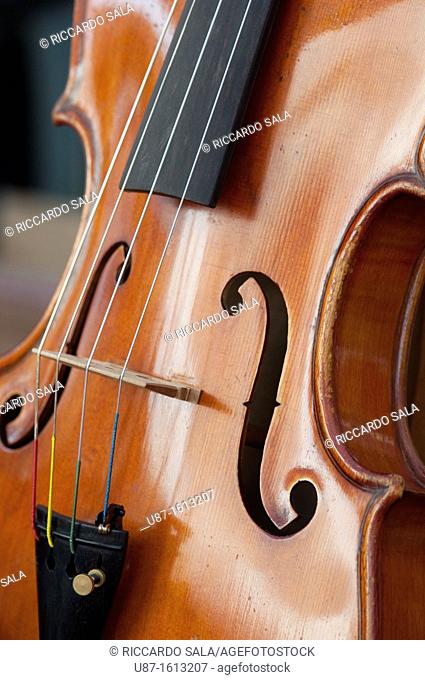 Italy, Lombardy, Cremona, Violin Maker Worshop, Close up Violin