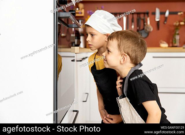 Brothers looking in oven through glass