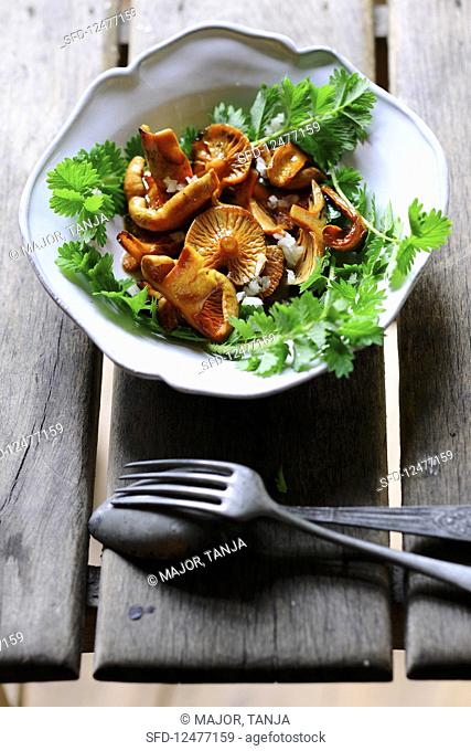 Red pine mushroom salad with pimpernel