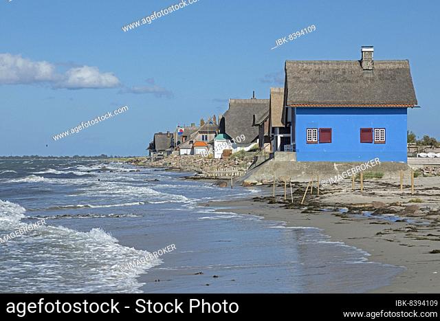 Thatched roof houses on the beach, Graswarder peninsula, Heiligenhafen, Schleswig-Holstein, Germany, Europe
