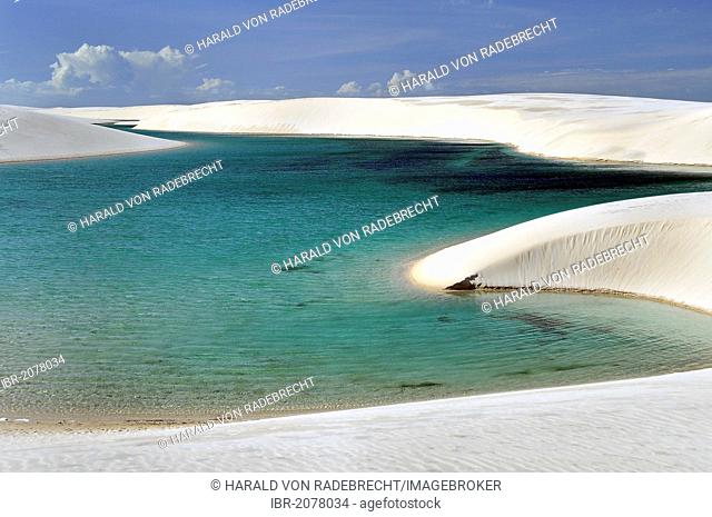 Crystal-clear lagoon in the desert of Lençóis Maranhenses, Maranhão, Brazil, South America