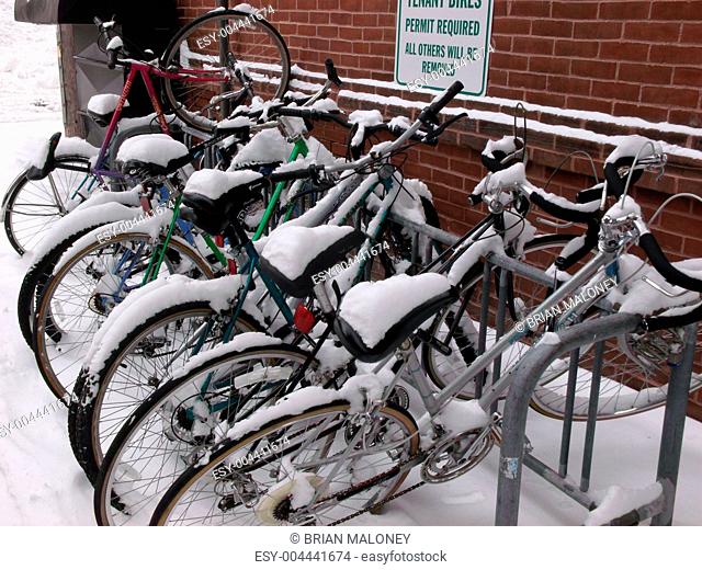 Snowy Bikes Clustered in Winter