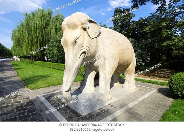 Statue of a Standing Elephant in The General Sacred Way of the Ming Tombs. It was built between 1435 and 1540. Shisanling, Beijing, China