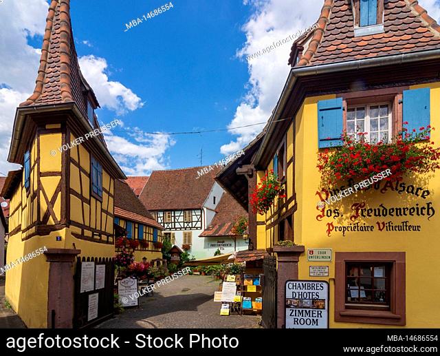 Eguisheim (Egisheim), Old Town, former state court of Unterlinden, today Freudenreich Winery in Alsace (Elsass), Haut-Rhin (Oberelsass), France