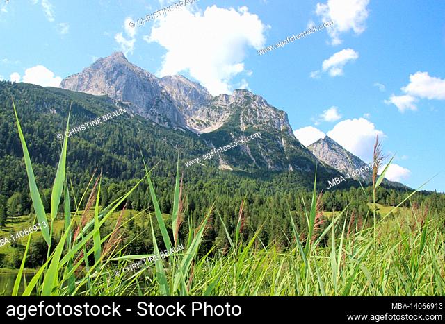 morning mood, germany, upper bavaria, ferchensee, wetterstein mountains, left untere wettersteinspitze 2152 m, in the middle obere wettersteinspitze 2297