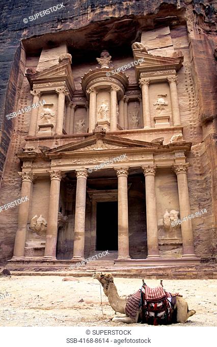 Jordan, Petra, Treasury With Camel
