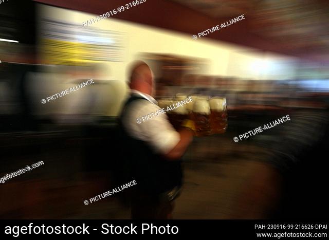 16 September 2023, Bavaria, Munich: A waitress serves beer in a festival tent. The 188th Wiesn will take place this year from 16.09.-03.10.2023