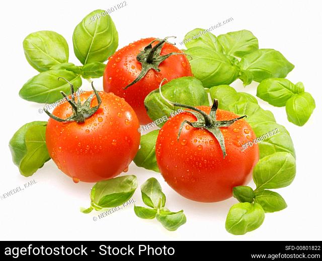 Freshly washed tomatoes and basil