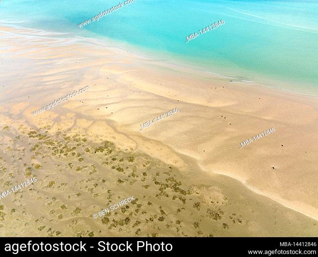 Salt marshes in the Baie de Vey Normandy