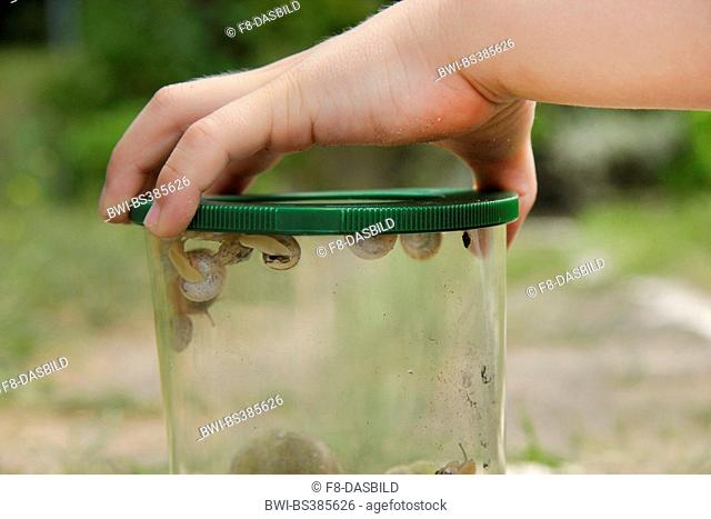 boy holding a magnifying glass with snails in the hand, Germany