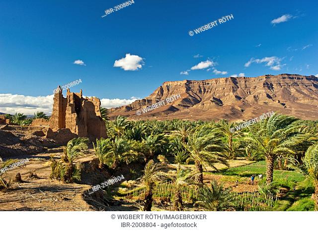 Ruinous Kasbah, constructed from adobe, residential castle of the Berbers, palm trees in front of the mountain chain of the Djebel Kissane table mountain