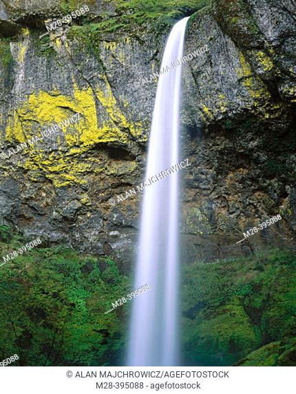 Elowah Falls. Columbia River Gorge National Scenic Area. Oregon. USA