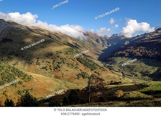 Panoramic view of the Oza Forest and the Guarrinza valley, Valley of Hecho, western valleys, Pyrenean mountain range, province of Huesca, Aragon, Spain
