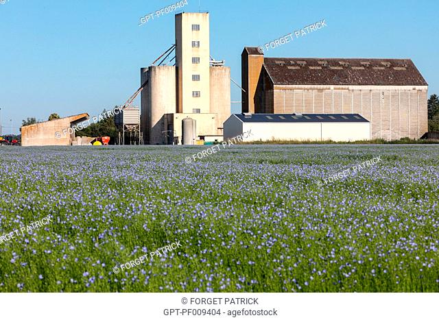 FIELD OF FLOWERING FLAX IN FRONT OF THE GRAIN SILO OF BOIS-ARNAULT, RUGLES (27), FRANCE