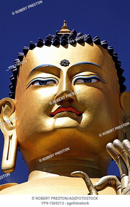 The face of the Golden Buddha statue at Likir Gompa, buddhist monastery, in Ladakh, India