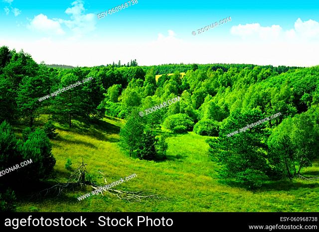 Colorful landscape with trees and hills