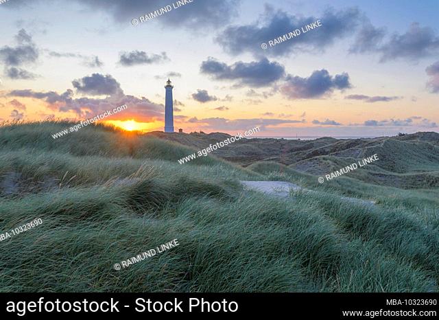 Lighthouse in dune landscape at sunrise, Lyngvig Fyr, Hvide Sande, Ringkobing Fjord, North Sea, Midtjylland, Central Jutland, Denmark