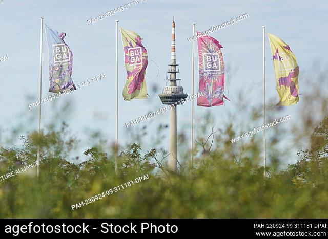 PRODUCTION - 20 September 2023, Baden-Württemberg, Mannheim: Flags with the words ""BUGA"" waving in the wind in front of Mannheim's telecommunications tower