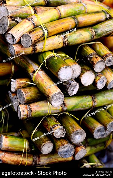 close up photo of a stack of sugar cane sticks