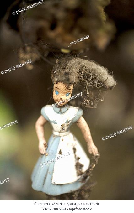 A doll from the film Alice in Wonderland hangs on a tree on the Island of the Dolls in Xochimilco, southern Mexico City. The late Don Julian turned his...