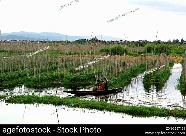Floating garden of Kela on the Inle lake, Myanmar