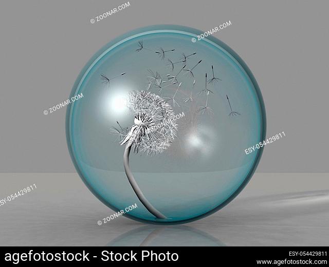 dandelion in a blue bubble