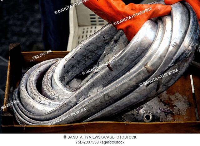 Silver scabbardfish in ice ready for sale, fish market in Catania, Sicily, Italy, Europe