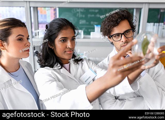 group of scientists with leaf in laboratory
