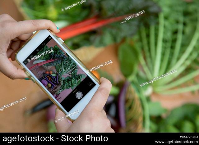 An urban farmer clicking a picture of her monthly harvest