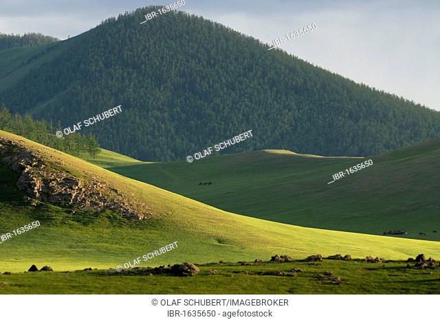 Grasslands at the Orkhon waterfall in front of the mountains of the Khuisiin Naiman Nuur Nature Reserve, Orkhon Khuerkhree, Kharkhorin, Oevoerkhangai Aimak