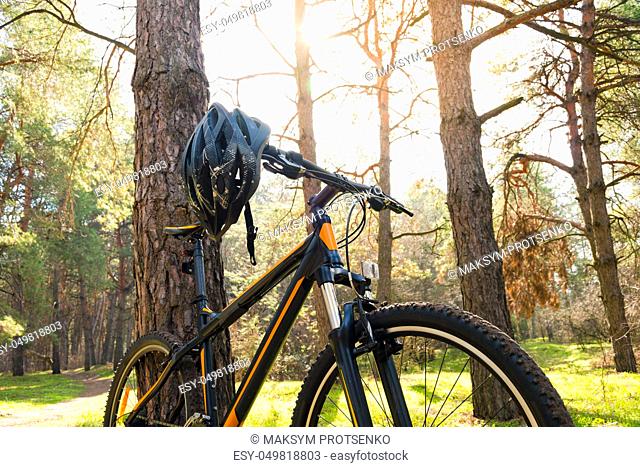 Mountain Bike on the Summer Trail in the Beautiful Pine Forest Lit by the Sun. Adventure and Cycling Concept