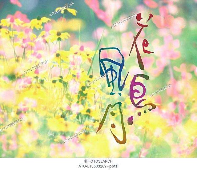 Field of colorful flowers and Japanese characters, Computer Graphics, composition, differential focus