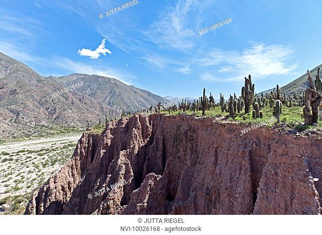 Landscape near the mountain resort Juella, Jujuy Province, Argentina, South America