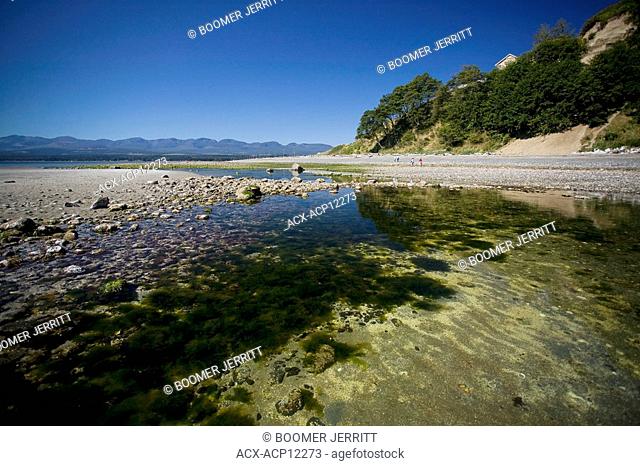 Tidal pool at low Tide off of Goose Spit. Comox, Vancouver Island, British Columbia, Canada