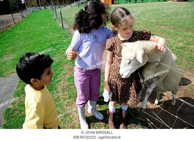 Children stroking a sheep on a visit to a city farm