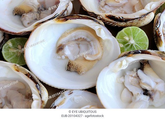 Almejas or clams served in their shells with cut halves of lime