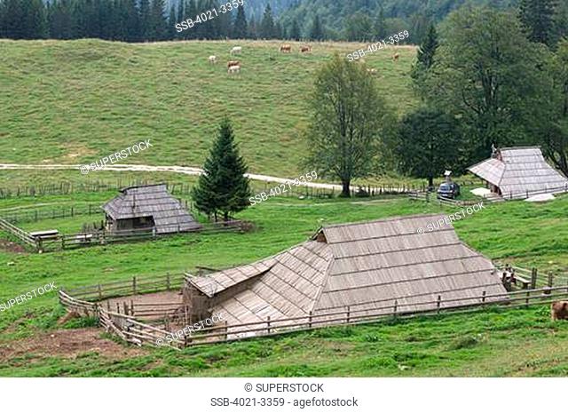 Slovenia, Velika Planika, houses on hill