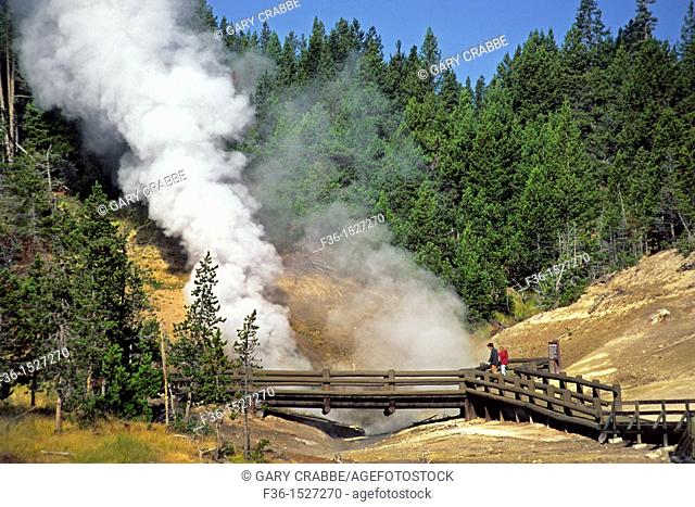 Tourists watch steam rise from Dragon's Mouth Spring, Mud Volcano, Yellowstone National Park, WYOMING