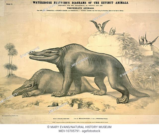 Sheet 2 of a series of posters by Benjamin Waterhouse Hawkins c. 1862, showing Megalosaurus and Pterodactyle