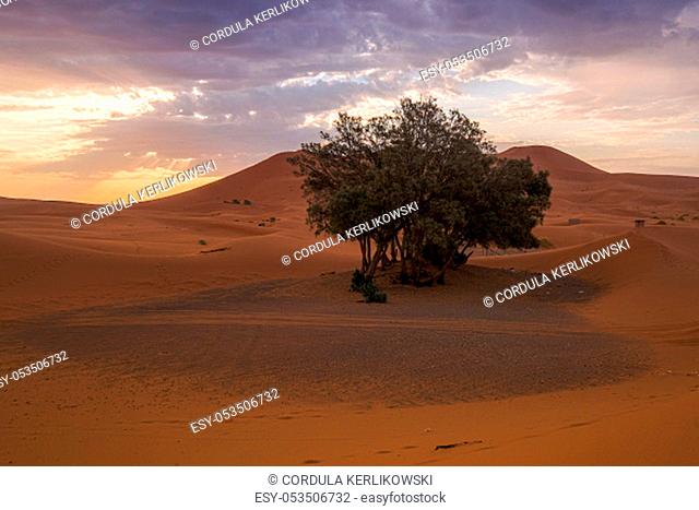 desert landscape and colorful cloudy sky in the early morning, sunset at Merzouga desert
