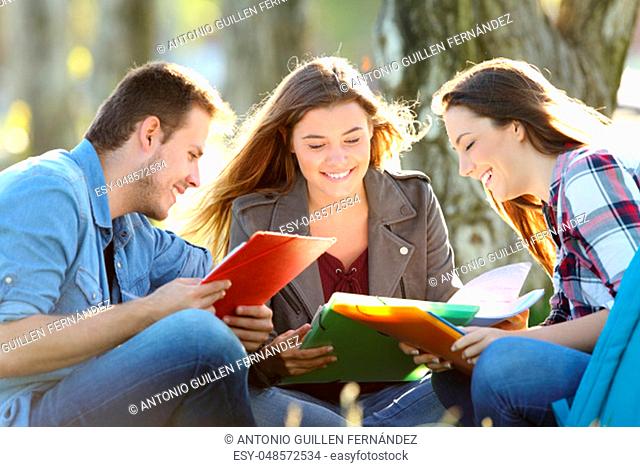 Three students learning reading notes together sitting on the grass in a park