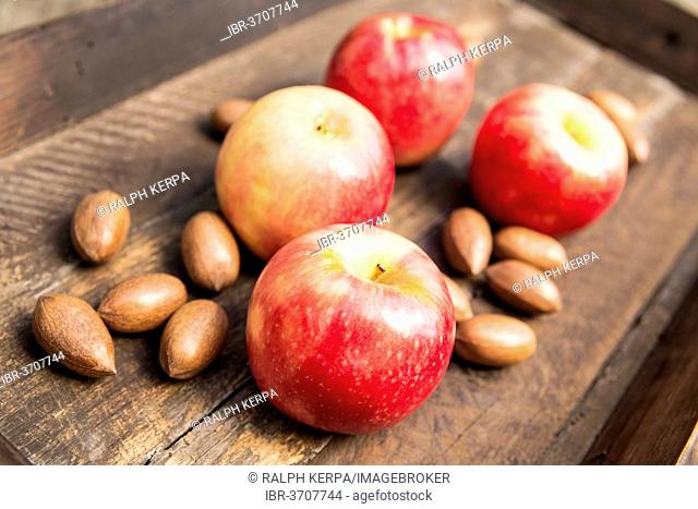 Apples and pecan nuts in a wooden box, Germany