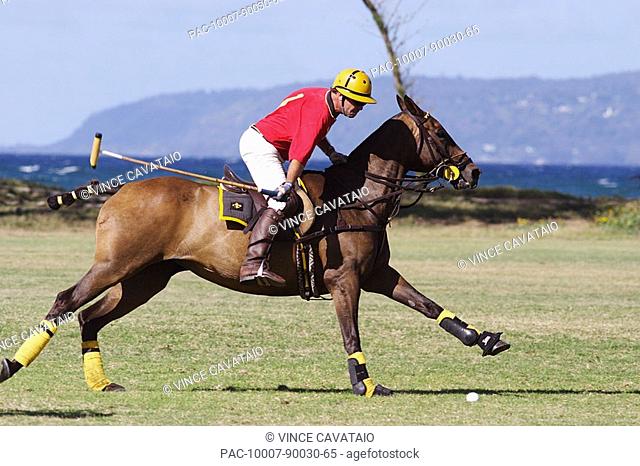Hawaii, Oahu, North Shore, man on horseback playing polo on oceanside fields  NO MODEL RELEASE