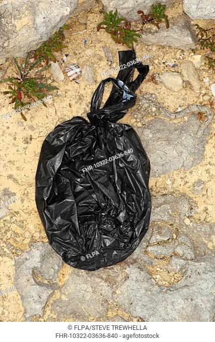 Domestic Dog, muck in plastic waste bag, left on coastal rocks, Portland Bill, Isle of Portland, Dorset, England, july