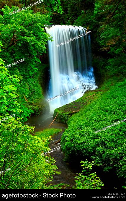 Waterfall in a forest, Middle Oneonta Falls, Oneonta Creek, Oneonta Gorge, Columbia River Gorge National Scenic Area, Oregon, USA