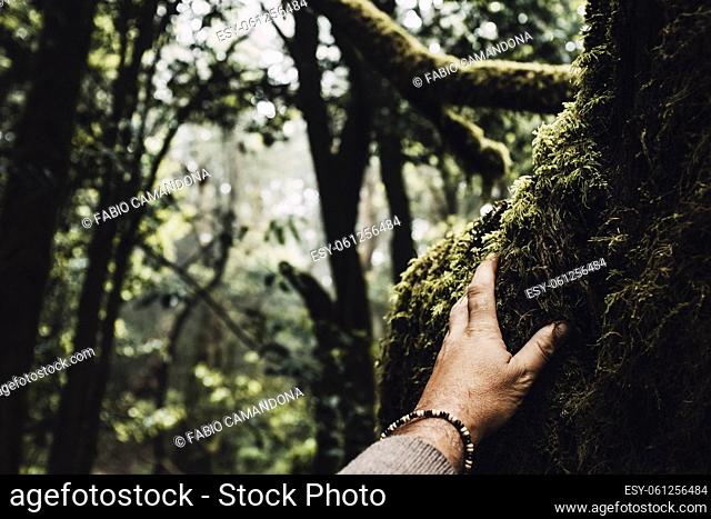 Human hand touching trunk tree with musk. Concept of nature protection and environment. Save forest from deforestation. Earth oxygen production